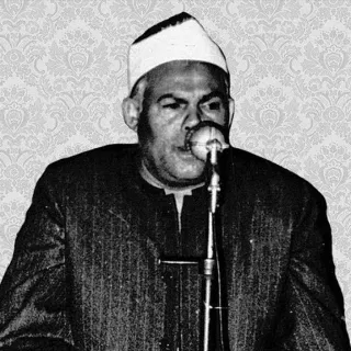 Muhammad Abdul Haleem